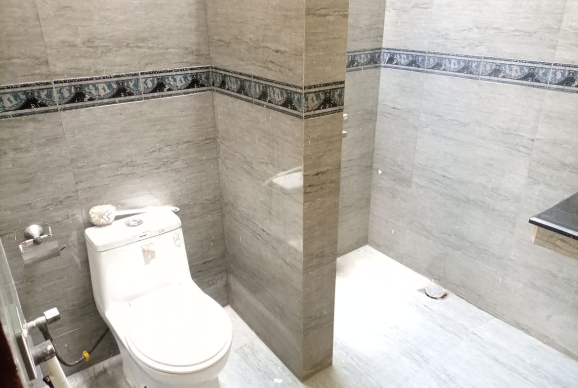 Luxury Toilets