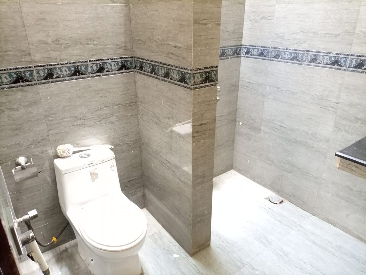 Luxury Toilets