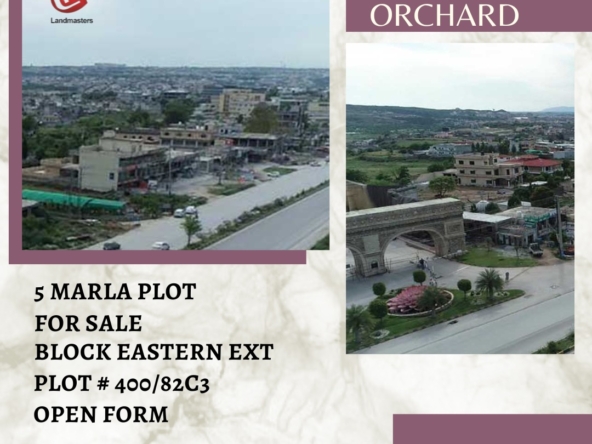 𝟓 𝐌𝐚𝐫𝐥𝐚 𝐏𝐥𝐨𝐭 𝐟𝐨𝐫 𝐒𝐚𝐥𝐞 𝐁𝐚𝐡𝐫𝐢𝐚 𝐎𝐫𝐜𝐡𝐚𝐫𝐝